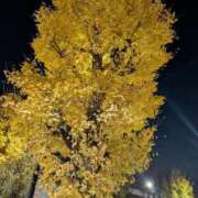 ヒメ日記 2025/12/07 07:15 投稿 ともえ 横浜おかあさん