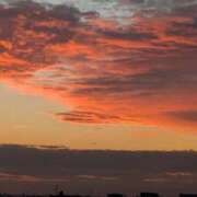 ヒメ日記 2025/12/20 06:55 投稿 ともえ 横浜おかあさん