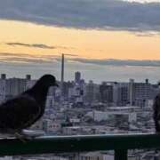 ヒメ日記 2025/12/29 06:55 投稿 ともえ 横浜おかあさん