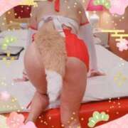 ヒメ日記 2026/01/02 07:25 投稿 ともえ 横浜おかあさん