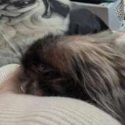 ヒメ日記 2026/01/15 16:45 投稿 ともえ 横浜おかあさん