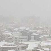 ヒメ日記 2026/02/08 06:55 投稿 ともえ 横浜おかあさん