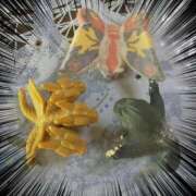 ヒメ日記 2026/02/08 08:21 投稿 ともえ 横浜おかあさん