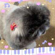 ヒメ日記 2026/02/13 06:05 投稿 ともえ 横浜おかあさん