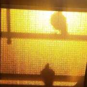 ヒメ日記 2026/02/15 06:45 投稿 ともえ 横浜おかあさん