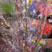 ヒメ日記 2026/03/02 07:17 投稿 ともえ 横浜おかあさん