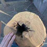 ヒメ日記 2026/04/12 06:45 投稿 ともえ 横浜おかあさん