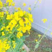 多村 蜂さんが🐝蜜吸ってるところ☺️🌼 西川口デッドボール