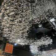 ヒメ日記 2025/12/02 20:02 投稿 雫(しずく) 神戸泡洗体ハイブリッドエステ