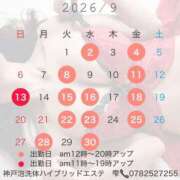 ヒメ日記 2026/09/01 18:05 投稿 雫(しずく) 神戸泡洗体ハイブリッドエステ