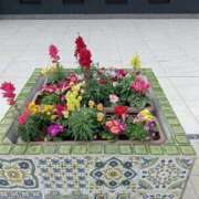 ヒメ日記 2025/09/28 20:25 投稿 紅葉和香(もみじわか) 九州熟女　八代店