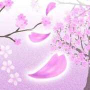 ヒメ日記 2026/03/25 20:55 投稿 紅葉和香(もみじわか) 九州熟女　八代店