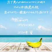 ヒメ日記 2024/08/01 14:23 投稿 しずか 完熟ばなな 横浜