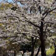 ヒメ日記 2025/04/11 18:53 投稿 しずか 完熟ばなな 横浜