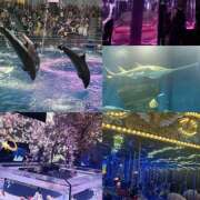 ヒメ日記 2026/03/12 22:21 投稿 しずか 完熟ばなな 横浜