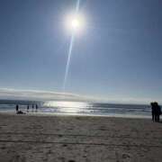 しずか 昼間はサンサンと。 完熟ばなな川崎