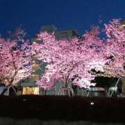 ヒメ日記 2026/03/31 19:41 投稿 しずか 完熟ばなな川崎