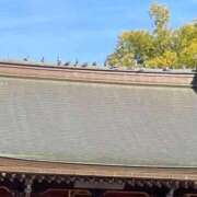 ヒメ日記 2026/01/06 18:32 投稿 真森 華恋人(カレント)