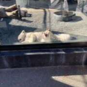 ヒメ日記 2025/02/21 16:47 投稿 ゆな ハピネス東京