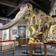 ヒメ日記 2024/12/21 20:20 投稿 ゆか ハピネス福岡