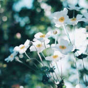 ヒメ日記 2025/03/16 15:42 投稿 ゆか ハピネス福岡