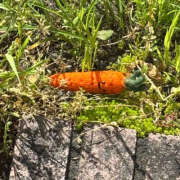 ヒメ日記 2025/05/08 23:42 投稿 ゆか ハピネス福岡