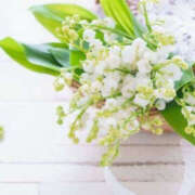 ヒメ日記 2025/06/03 15:32 投稿 ゆか ハピネス福岡