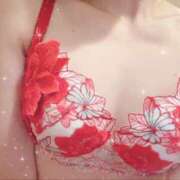 ヒメ日記 2024/12/17 23:20 投稿 藤沢　ねね PLATINA R-30（すすきの）