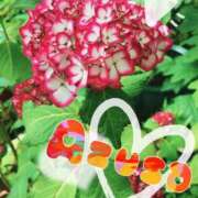 ヒメ日記 2025/06/26 17:01 投稿 梓（アズサ） アバンチュール(五反田)