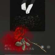 ヒメ日記 2025/12/22 18:31 投稿 梓（アズサ） アバンチュール(五反田)