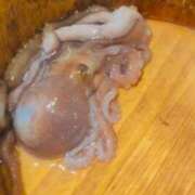 ヒメ日記 2026/01/14 17:01 投稿 梓（アズサ） アバンチュール(五反田)