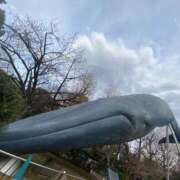 ヒメ日記 2025/03/10 13:01 投稿 れあ 完全密室 無抵抗