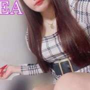 ヒメ日記 2025/04/23 18:01 投稿 れあ 完全密室 無抵抗