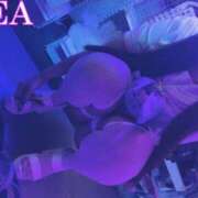 ヒメ日記 2025/07/10 09:30 投稿 れあ 完全密室 無抵抗