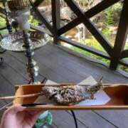 ヒメ日記 2025/10/25 13:01 投稿 れあ 完全密室 無抵抗