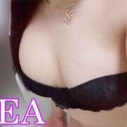 ヒメ日記 2025/12/03 09:33 投稿 れあ 完全密室 無抵抗