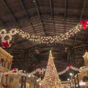 れあ Princessなので👸 完全密室 無抵抗