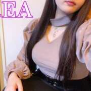 ヒメ日記 2025/12/24 18:01 投稿 れあ 完全密室 無抵抗