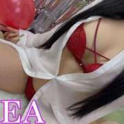 ヒメ日記 2026/03/25 09:30 投稿 れあ 完全密室 無抵抗