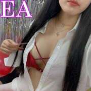 ヒメ日記 2026/04/16 09:37 投稿 れあ 完全密室 無抵抗