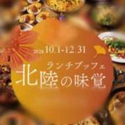 ヒメ日記 2024/11/19 19:45 投稿 てれさ 熟女家 東大阪店（布施・長田）