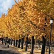 ヒメ日記 2024/12/09 14:00 投稿 てれさ 熟女家 東大阪店（布施・長田）