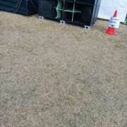 ヒメ日記 2024/12/09 14:32 投稿 てれさ 熟女家 東大阪店（布施・長田）