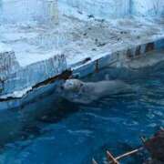 ヒメ日記 2025/01/06 15:35 投稿 てれさ 熟女家 東大阪店（布施・長田）