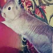 ヒメ日記 2025/11/27 20:25 投稿 てれさ 熟女家 東大阪店（布施・長田）