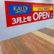 ヒメ日記 2026/03/06 09:46 投稿 てれさ 熟女家 東大阪店（布施・長田）