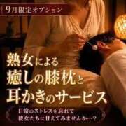 ヒメ日記 2026/09/01 10:25 投稿 てれさ 熟女家 東大阪店（布施・長田）