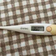 ヒメ日記 2025/04/14 15:20 投稿 本田　なな つくば風俗エキスプレス   ヌキ坂46