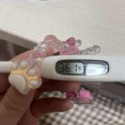 ヒメ日記 2025/04/15 15:15 投稿 本田　なな つくば風俗エキスプレス   ヌキ坂46