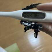 ヒメ日記 2025/05/30 16:05 投稿 本田　なな つくば風俗エキスプレス   ヌキ坂46